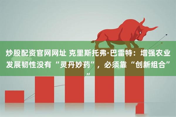 炒股配资官网网址 克里斯托弗·巴雷特：增强农业发展韧性没有 “灵丹妙药”，必须靠 “创新组合”