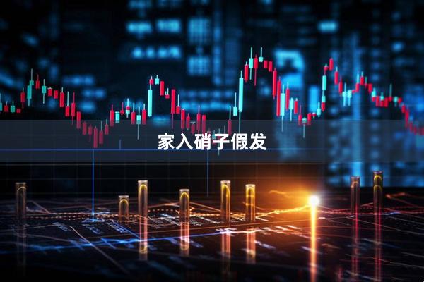 家入硝子假发