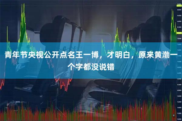 青年节央视公开点名王一博，才明白，原来黄渤一个字都没说错