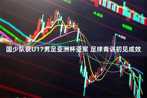 国少队获U17男足亚洲杯亚军 足球青训初见成效