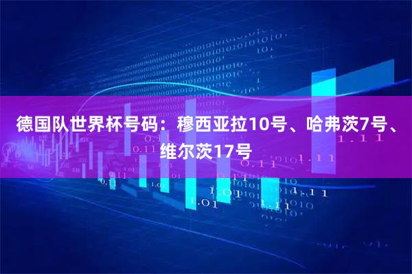 德国队世界杯号码：穆西亚拉10号、哈弗茨7号、维尔茨17号