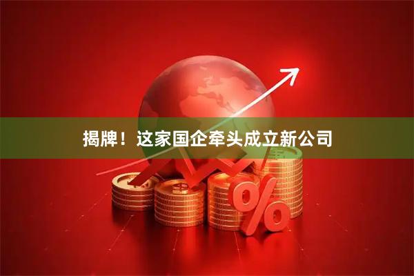揭牌！这家国企牵头成立新公司